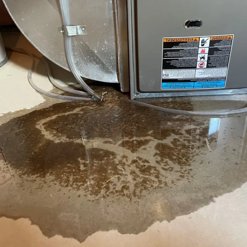 Pipe Burst and Leak Restoration in Mariemont, OH